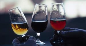 mlado vino